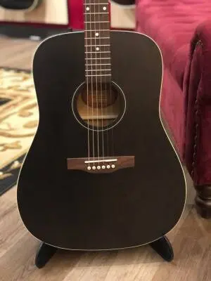 Art & Lutherie American Faded Black